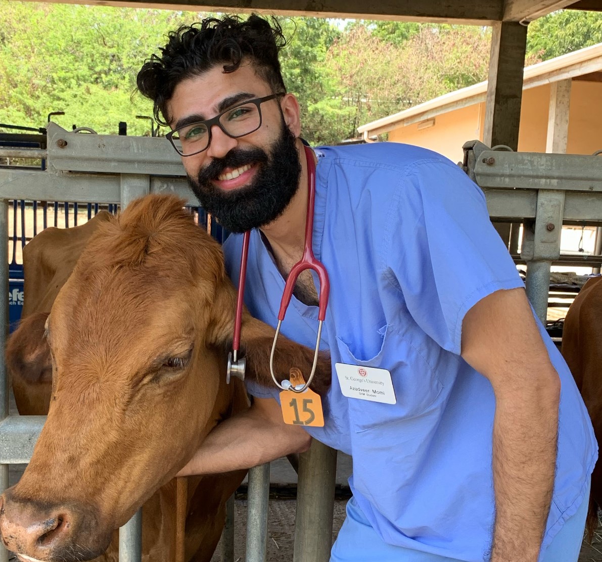 Veterinarian at Harbour Ridge Animal Hospital
